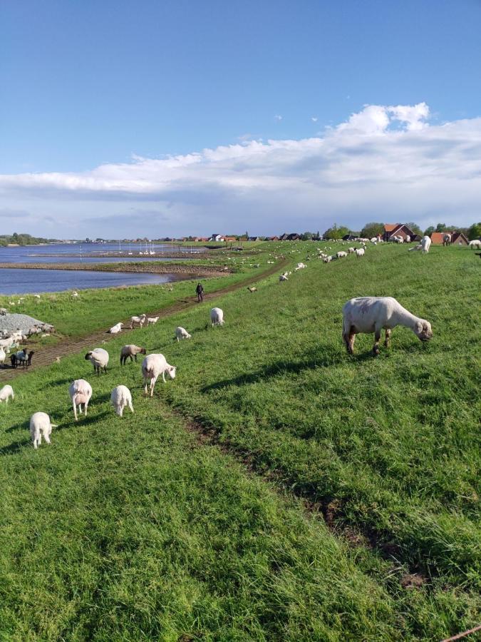 Ferienwohnung Elbe Diek Stelle Dış mekan fotoğraf